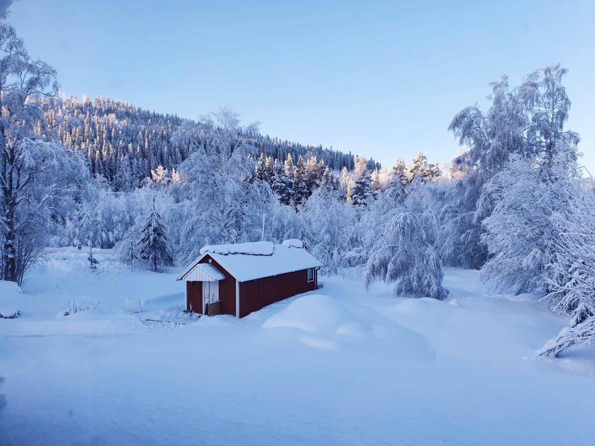 Luxury Guesthouse 'Lodge Lagom' - Hammarstrand-Jaemtland Kültér fotó