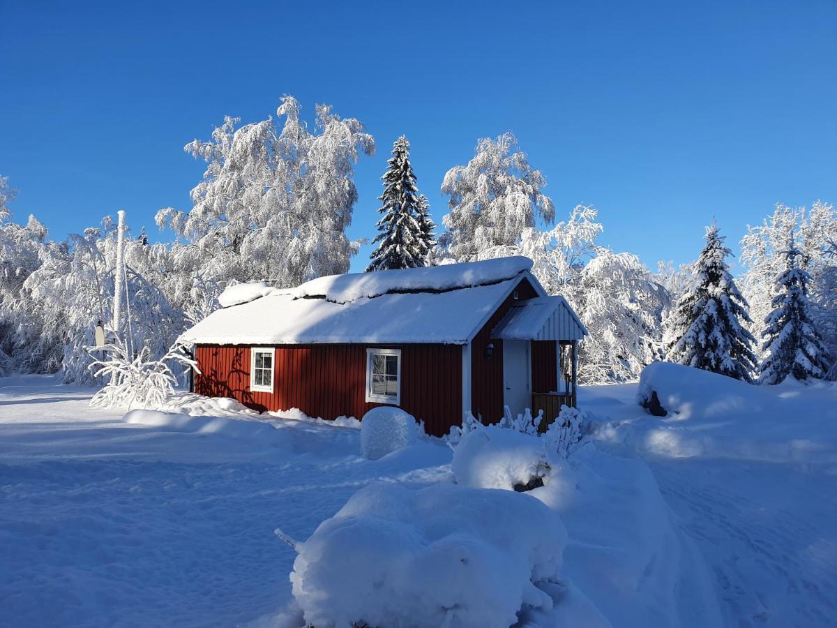 Luxury Guesthouse 'Lodge Lagom' - Hammarstrand-Jaemtland Kültér fotó